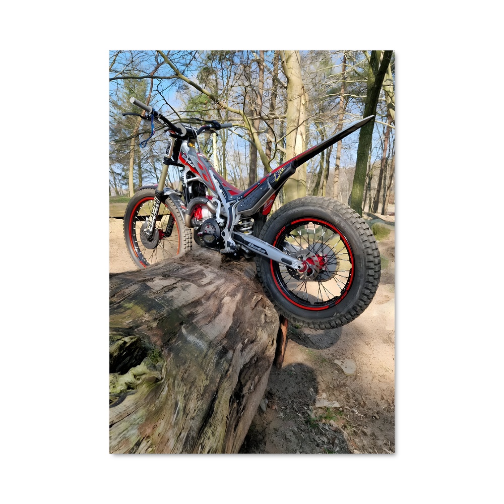 Poster Nature Ride – affiche Beta